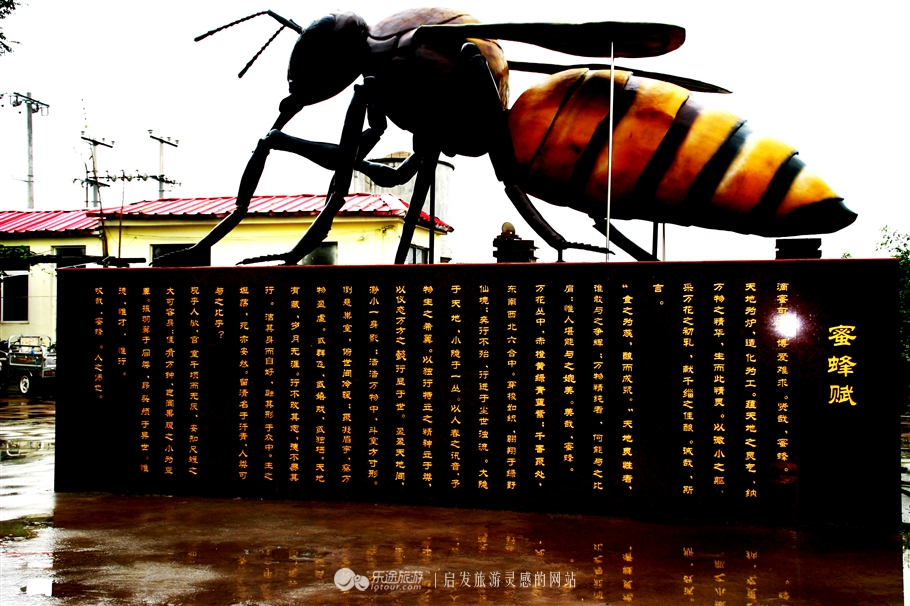 赞皇枣花,石家庄赞皇特产枣花