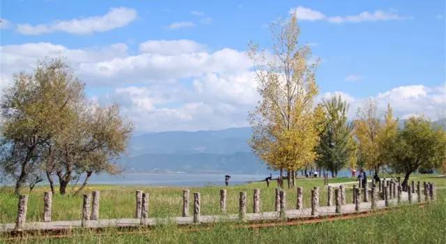 西昌邛海公园最新消息,西昌邛海湿地可以从哪个门进去