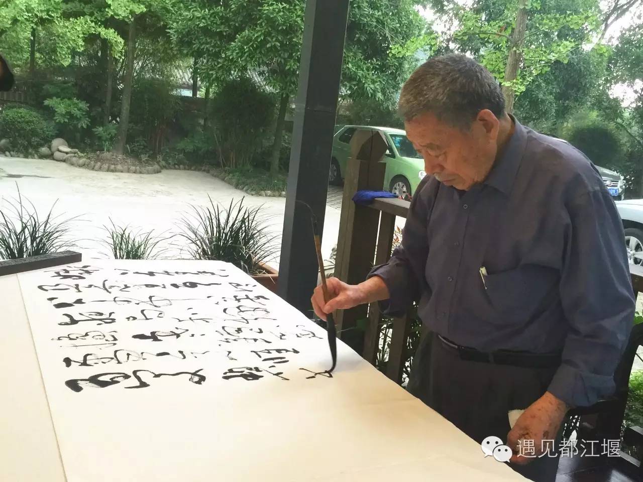 白鹭湾什么样,白鹭湾现在什么样子