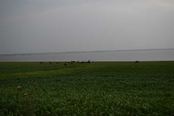 北京北戴河锡林郭勒自驾游,北京和锡林郭勒旅游攻略