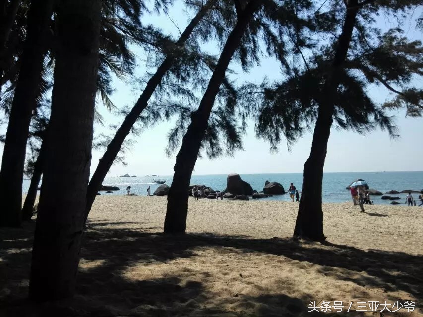 三亚给我的印象,三亚美好的遇见