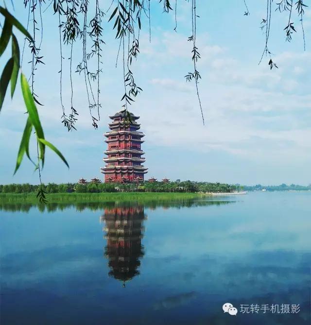 手机也能拍出这么好看的照片呀,不管什么手机都能拍出的好看照片