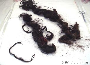 甲午悲歌光绪皇帝,光绪皇帝一生事迹及启示