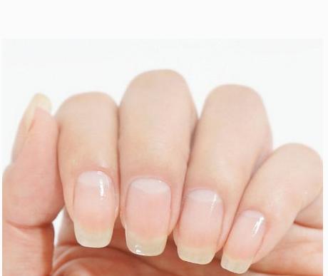 指甲月牙的秘密,揭开太阳的秘密