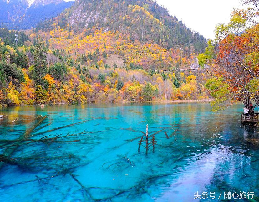 自驾重庆去九寨沟黄龙沿途攻略,重庆出发自驾九寨沟旅游攻略