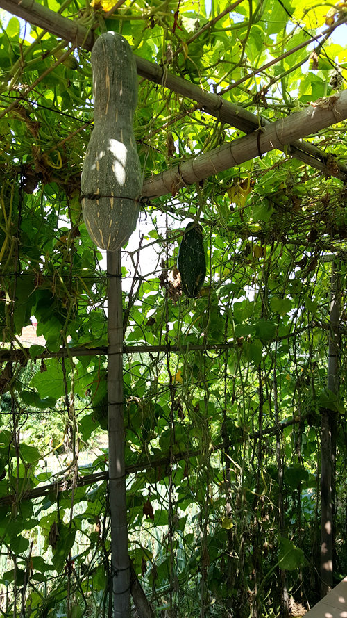 乐亭碧海渔家,乐亭碧海渔家怎么样