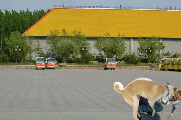 ps大神恶搞p图,被ps大神恶搞的图片笑掉我牙了