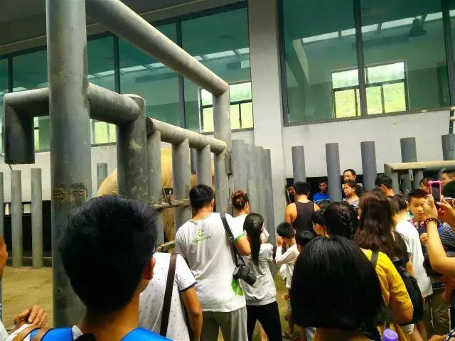 这个夜晚不平凡,从此注定不平凡