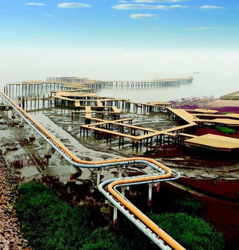 自驾去盘锦红海滩旅游线路,辽宁盘锦红海滩旅游攻略一日游