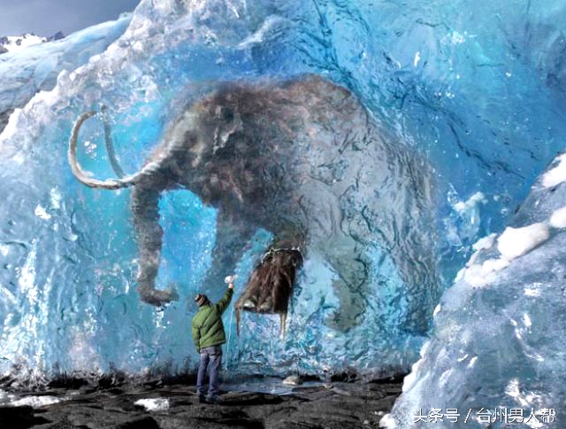 藏古猛犸象牙,藏传猛犸象牙老戒指