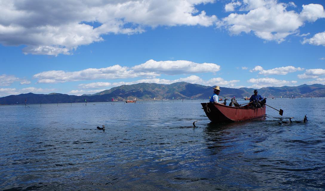 合肥自驾云南旅游攻略自由行详细,合肥去云南旅游攻略