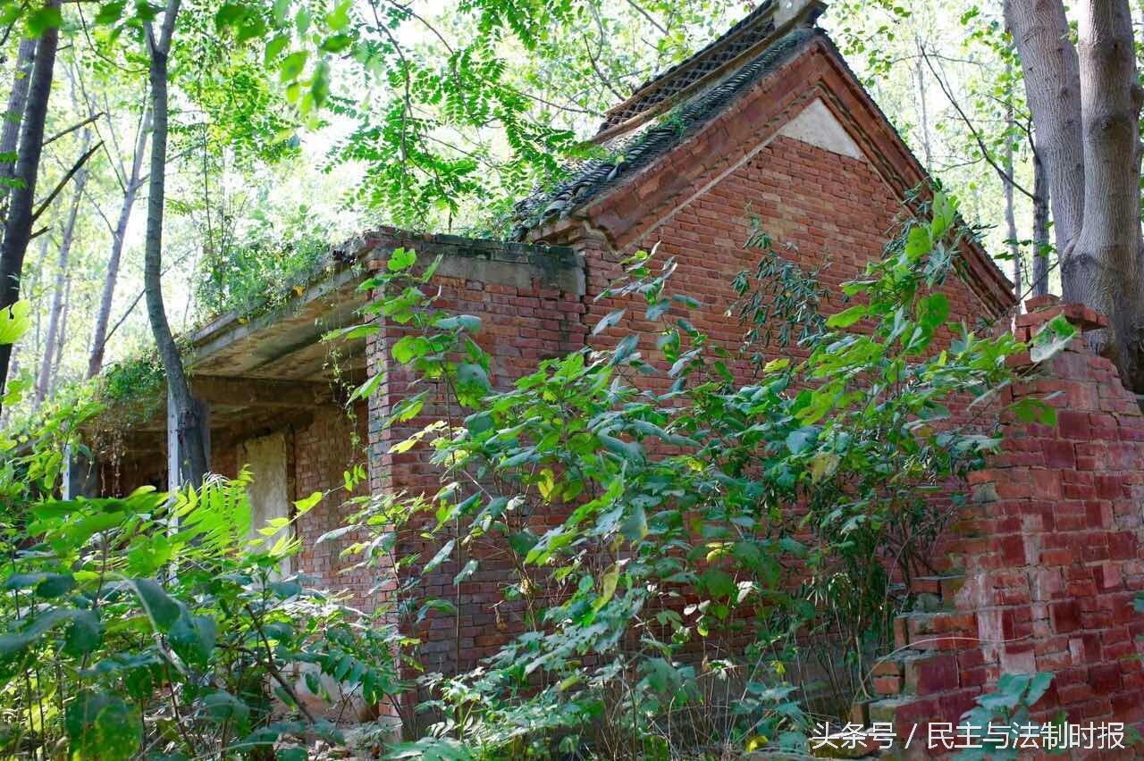 河南省平顶山市无名女尸案,平顶山掩埋尸体案