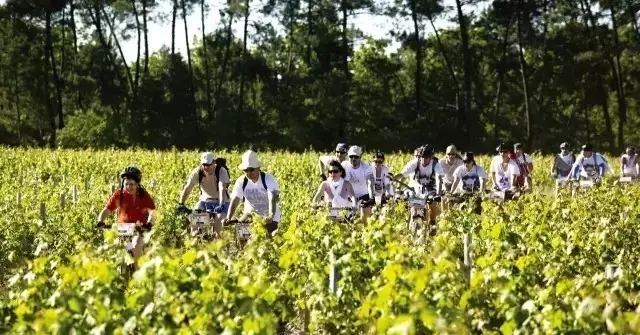 法国留学波尔多,法国名校预科班