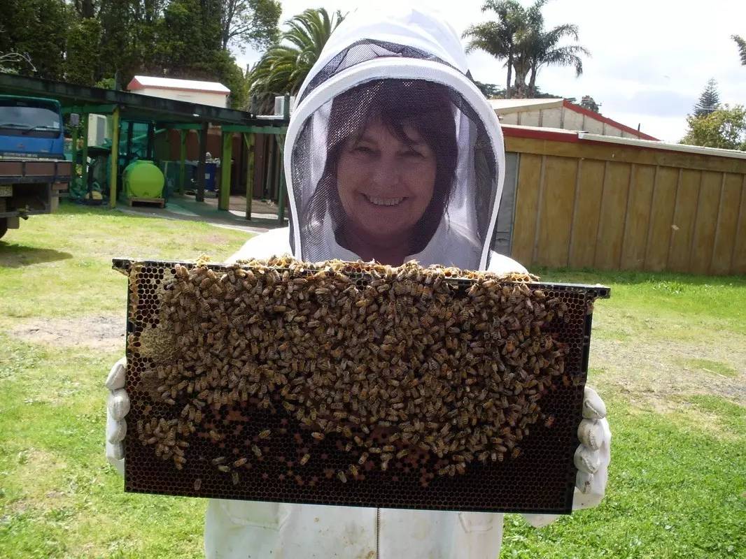 老中医蜂蜜系列,老中医生姜蜂蜜