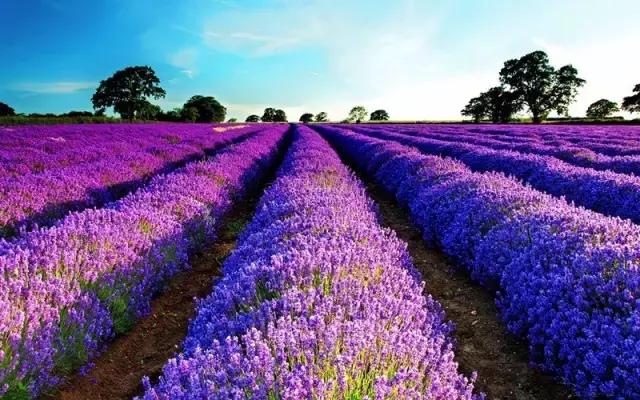 山西身份证为什么是14开头,山西身份证14开头