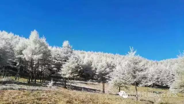 灵石红崖沟图片,灵石后悔沟景区