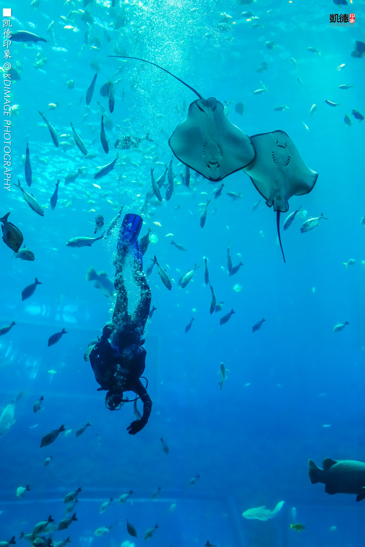 高空南昌美景照片,南昌万达乐园分布图