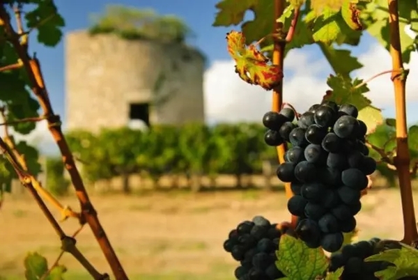 法国留学波尔多,法国名校预科班