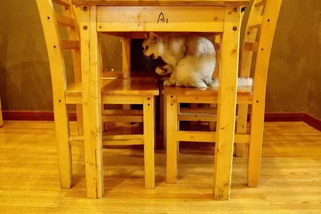 搴楅摵閲囪,搴楅摵涓撹