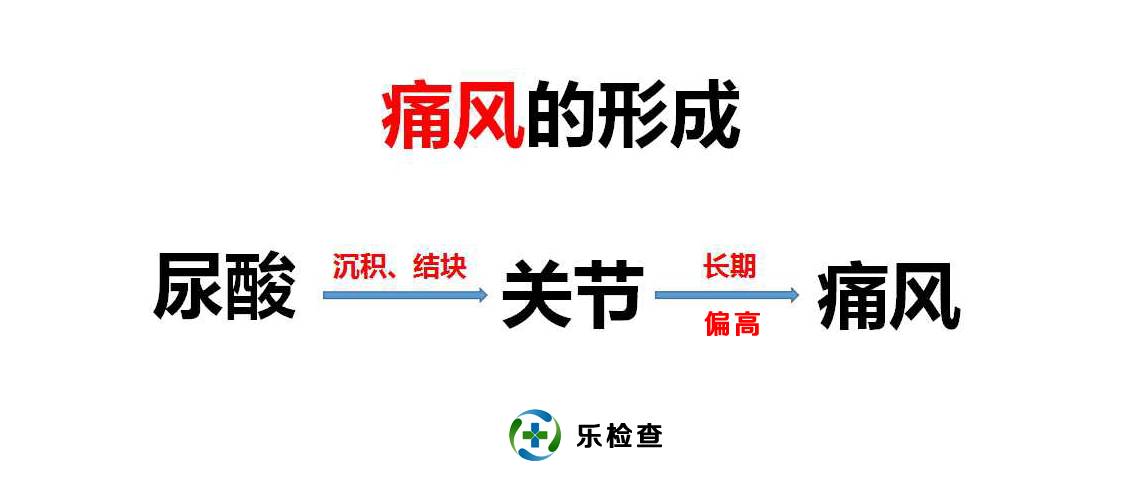 手把手教你看懂肾功能体检报告,教你肾功能化验单