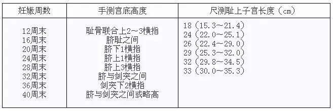 女性生殖系统重点内容总结