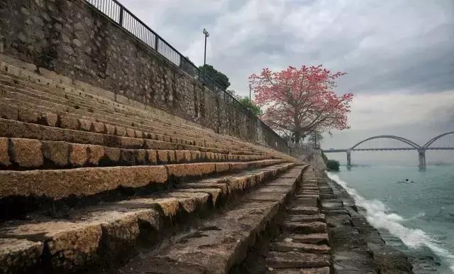 江门中秋节适合出游的地方,中秋去哪里赏月这几处预约火爆