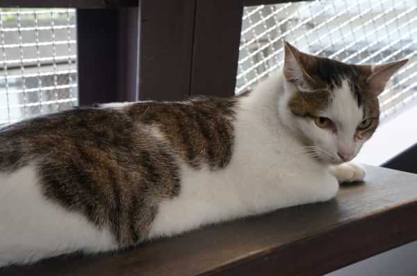 在台湾流浪14天~火星人的环岛路线！