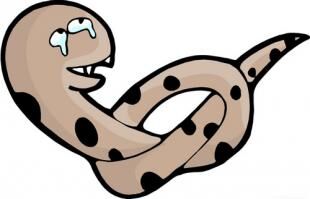 要走大运的生肖赶紧看有谁,未来5年享大福走大运的三大生肖