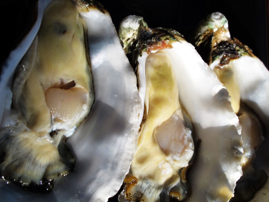 悉尼炎热,悉尼潮湿还是干燥