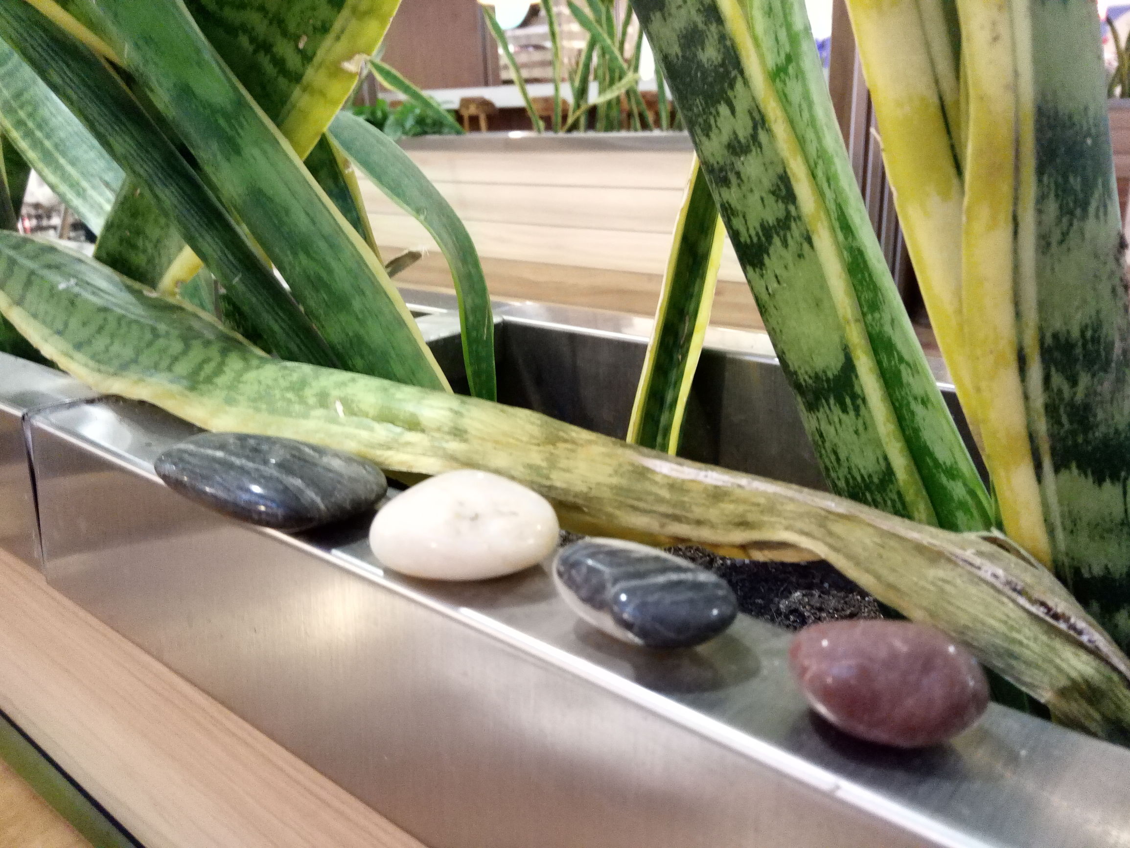 vivox60流畅度测评,vivox60手机流畅度