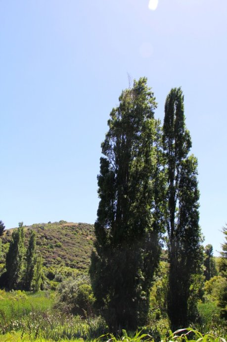 到怀希基岛,品酒-看海