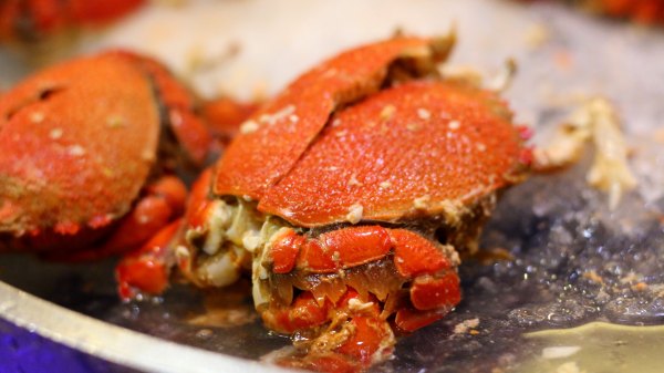 三亚万豪度假酒店攻略,面朝大海三亚