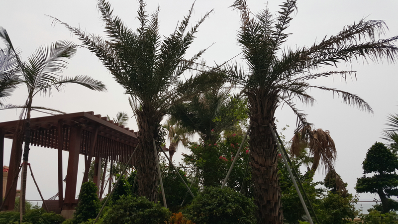 三星galaxya9s怎么样,性能强三星galaxya60s全面评测