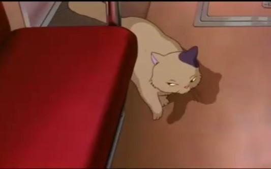 可爱动漫猫图片,十分可爱的动漫猫