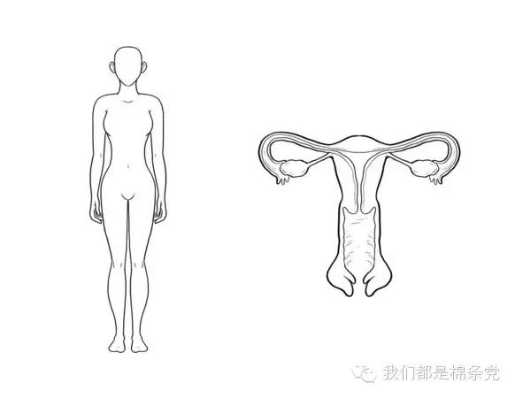 揭秘|有些痛女人才懂。颤抖吧，男人们！