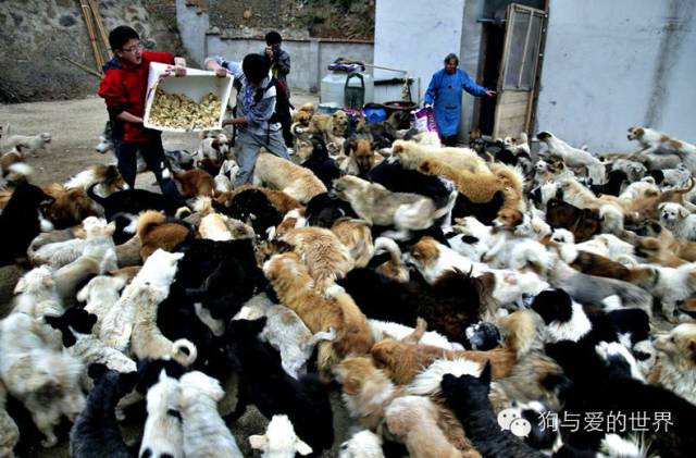 他们是最可爱的人作文350字 (他们是最可爱的人作文)