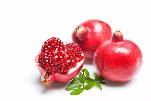 今天处暑,今天处暑节气