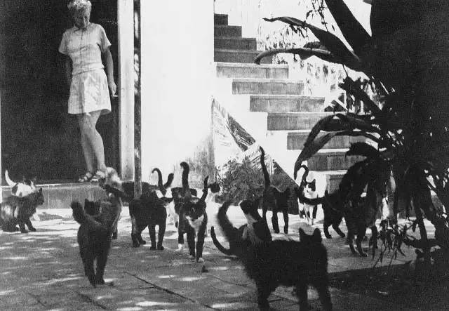 “老爹”海明威诞辰117周年,聊聊关于他鲜为人知的奇葩往事