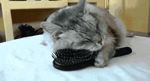 热起来全身痒,身上一捂热就痒怎么办