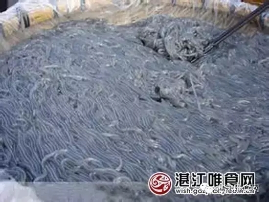 湛江好吃的粉,湛江最好吃的原味汤粉