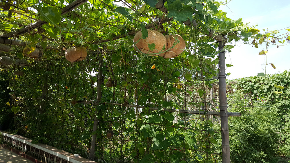 乐亭碧海渔家,乐亭碧海渔家怎么样