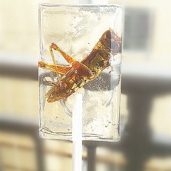 某宝上买的丑东西,某宝买的东西被卖家骂