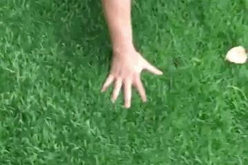 恐怖gif女生,韩国恐怖电影女孩诡异的笑图片