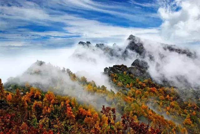 保定周边免费看红叶最佳旅游地点,保定周边一日游看红叶自驾游