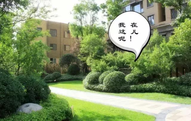 严谨的设计理念顶尖的施工技术,好的设计离不开施工