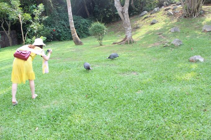 和闺蜜一起去三亚旅游的视频,和闺蜜去三亚旅游