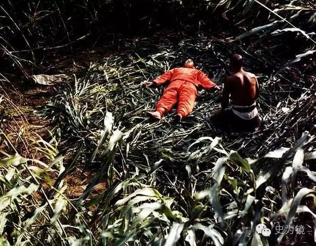 单身汉与寡妇肌肤之亲至死未明白背后阴谋