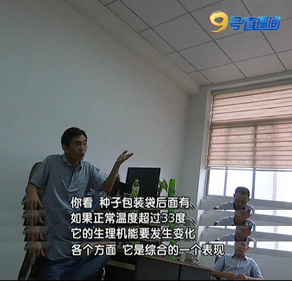 辣椒假种子,辣椒假种子最新进展