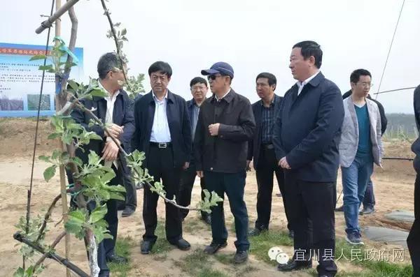 县长谈教育振兴,县长谈乡村振兴