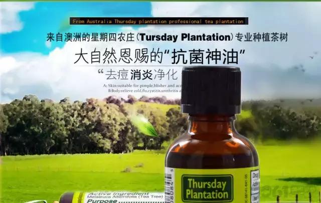 澳洲星期四农庄茶树祛痘凝胶,澳洲星期四农庄茶树精油祛痘膏